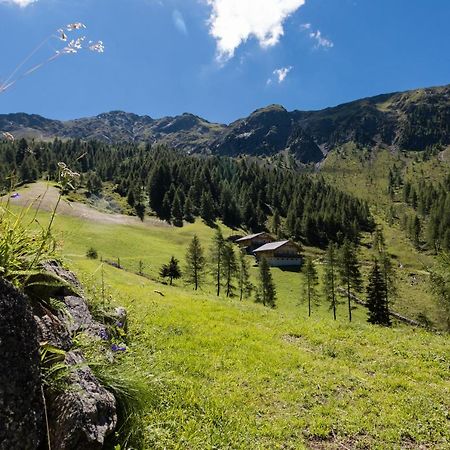 Feldererhof Apt Almenblick Santa Maddalena in Casies Exterior foto