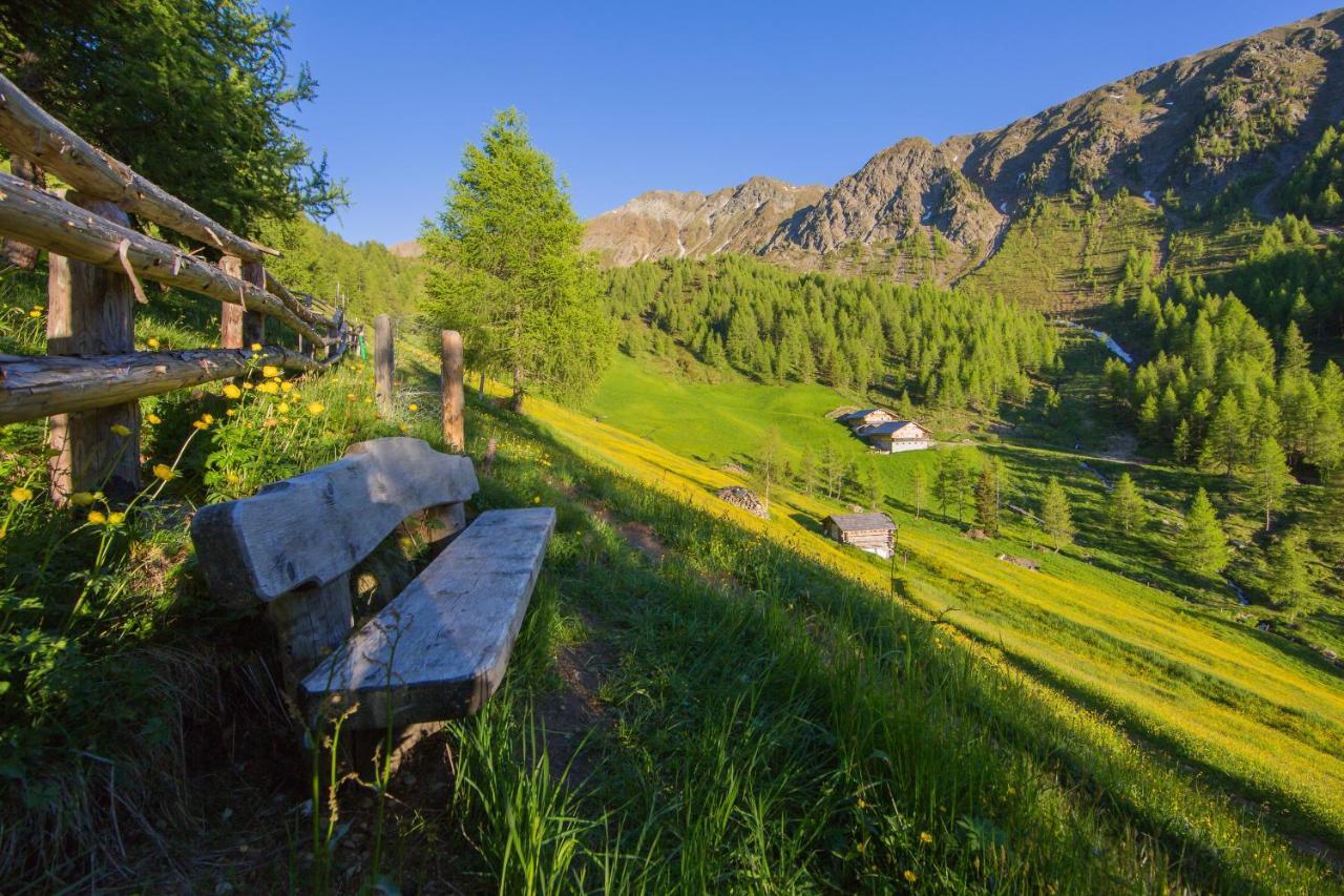 Feldererhof Apt Almenblick Santa Maddalena in Casies Exterior foto